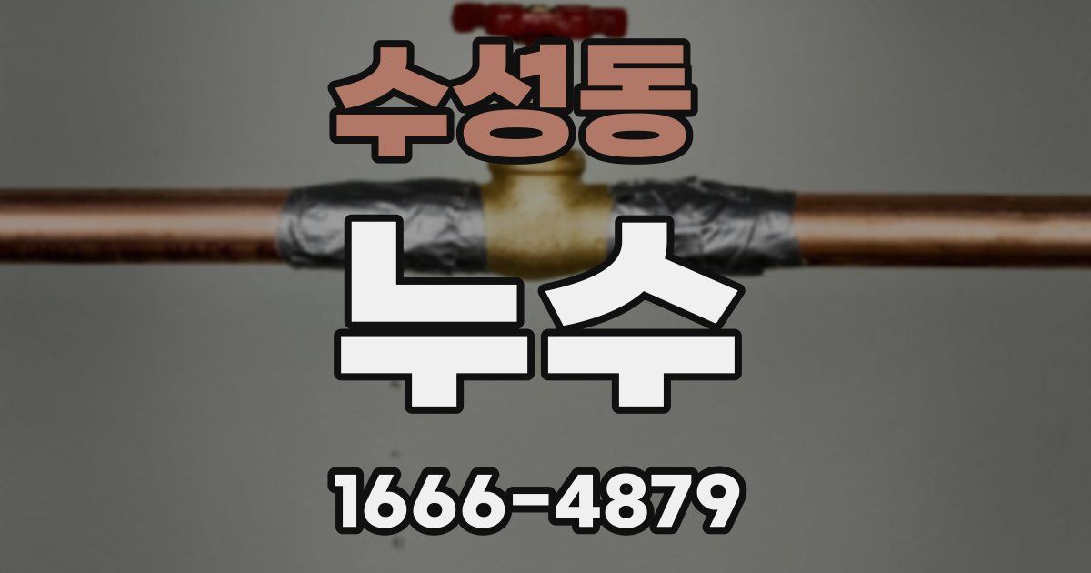 수성동 누수