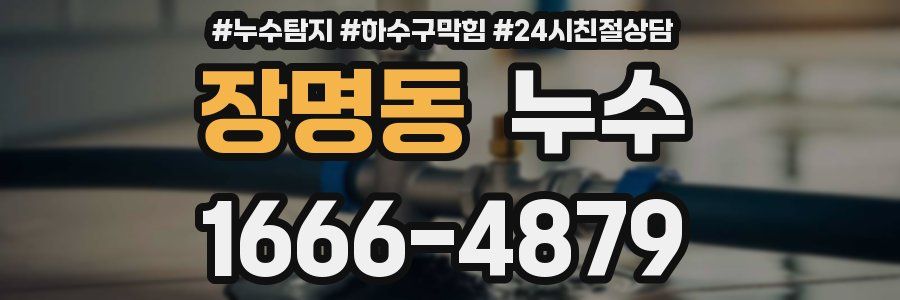장명동 누수