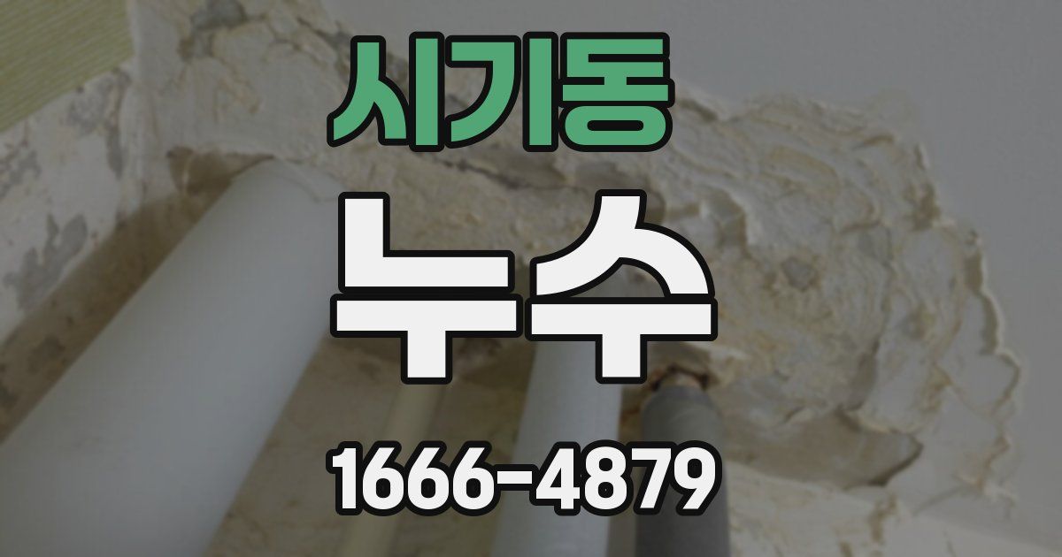 시기동 누수
