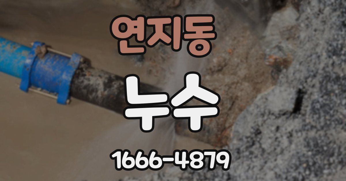 연지동 누수