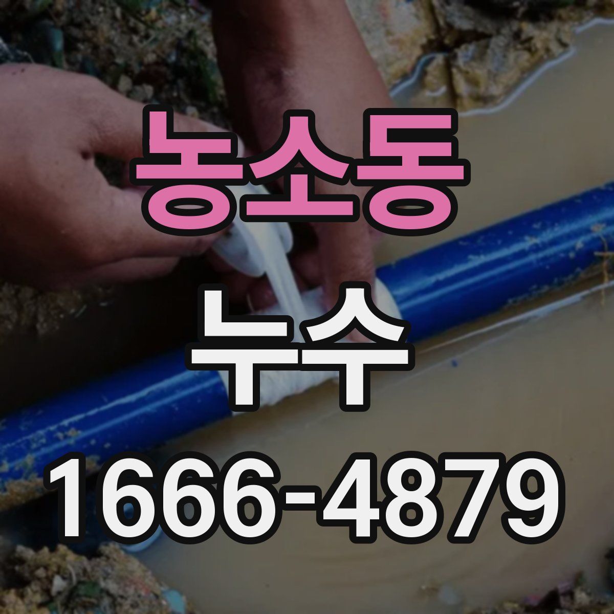 농소동 누수