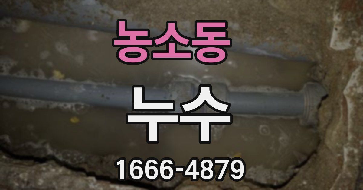 농소동 누수