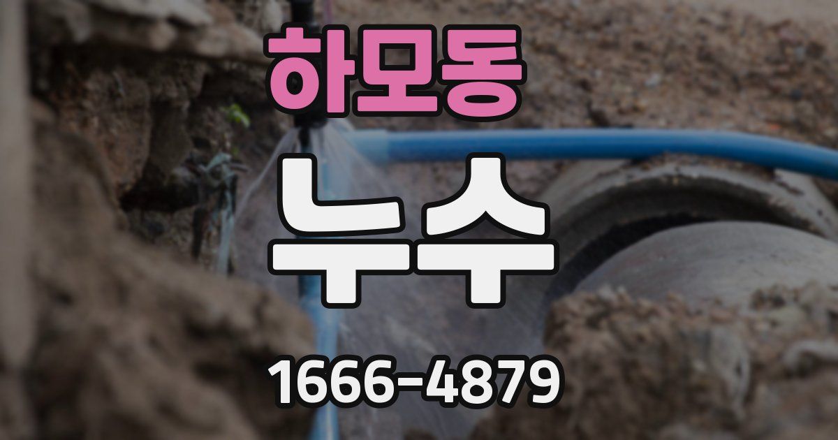 하모동 누수
