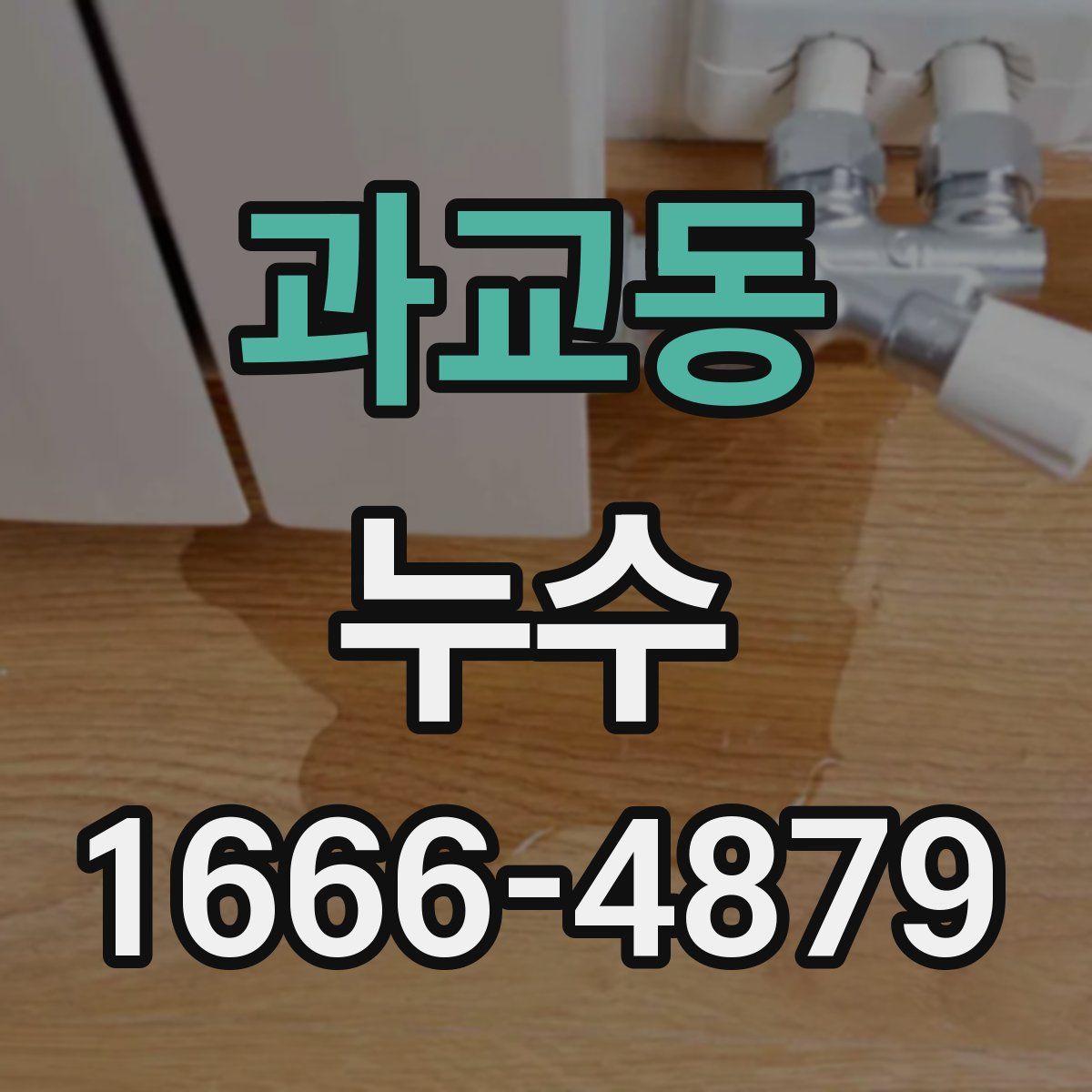 과교동 누수