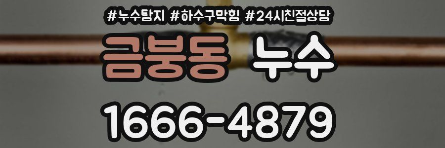 금붕동 누수