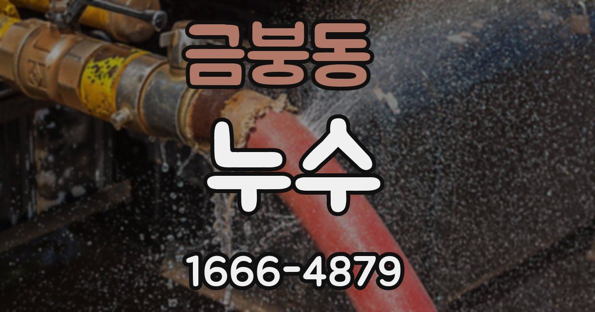 금붕동 누수
