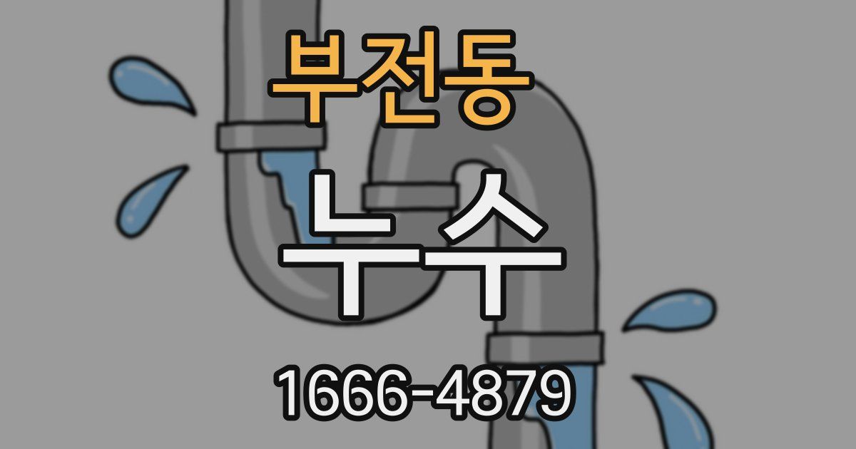 부전동 누수