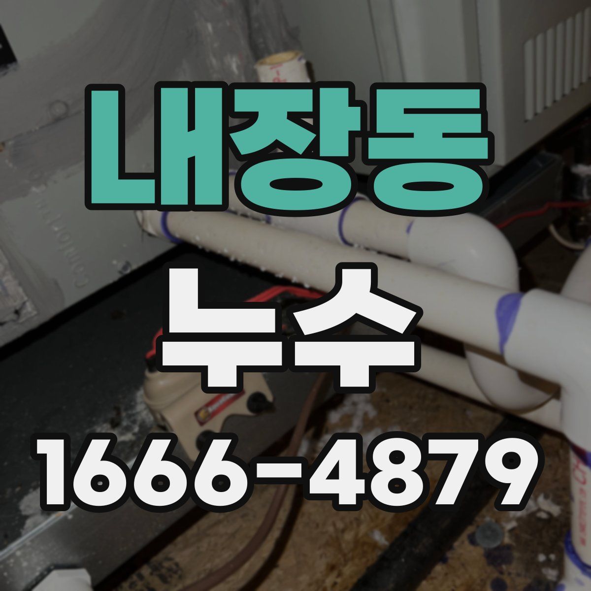 내장동 누수