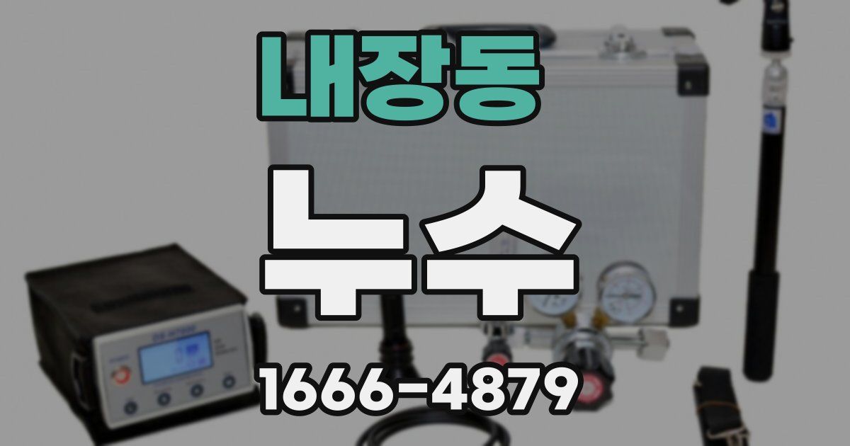 내장동 누수