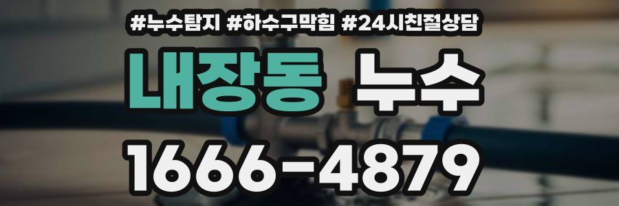내장동 누수