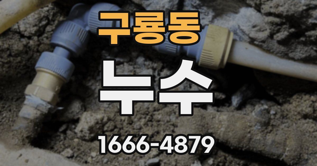 구룡동 누수