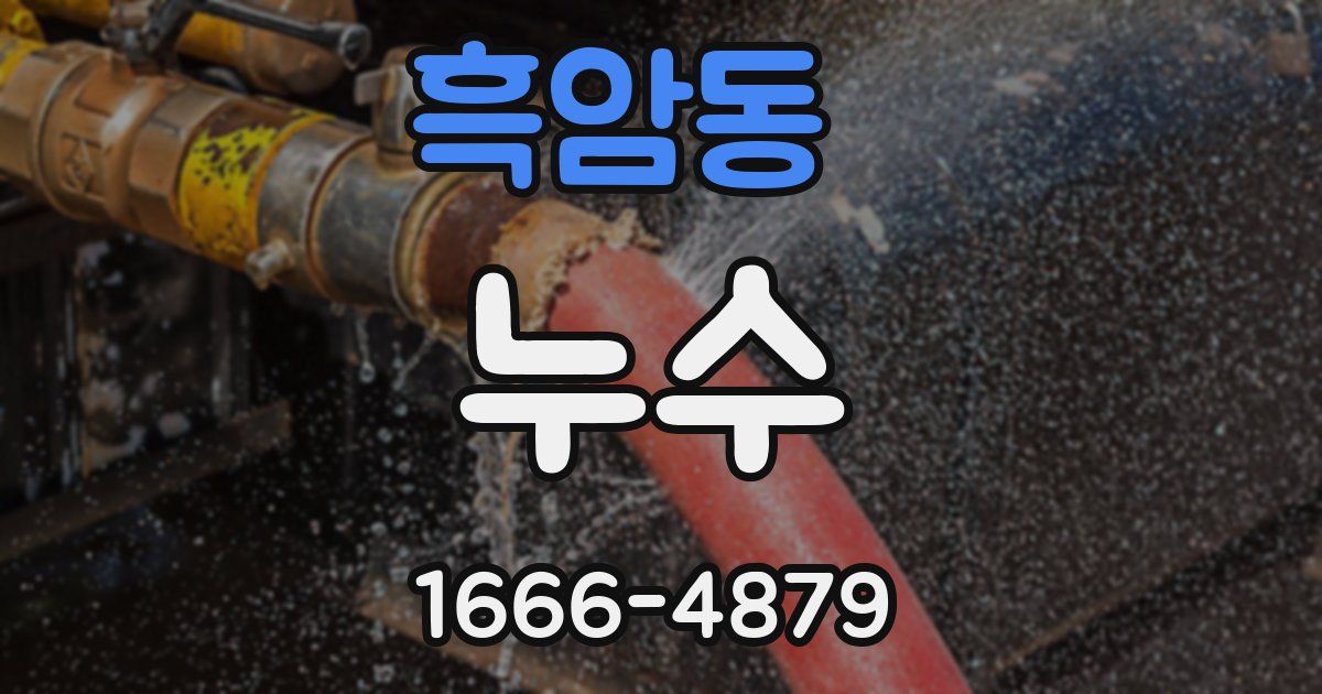 흑암동 누수