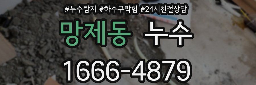 망제동 누수