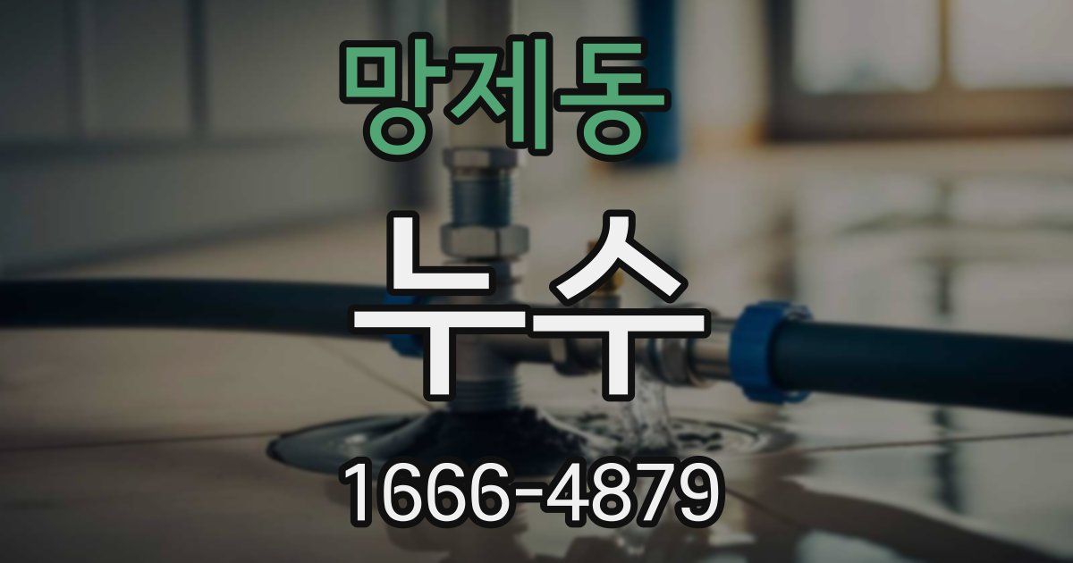 망제동 누수