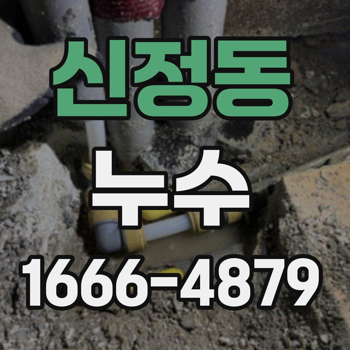 신정동 누수