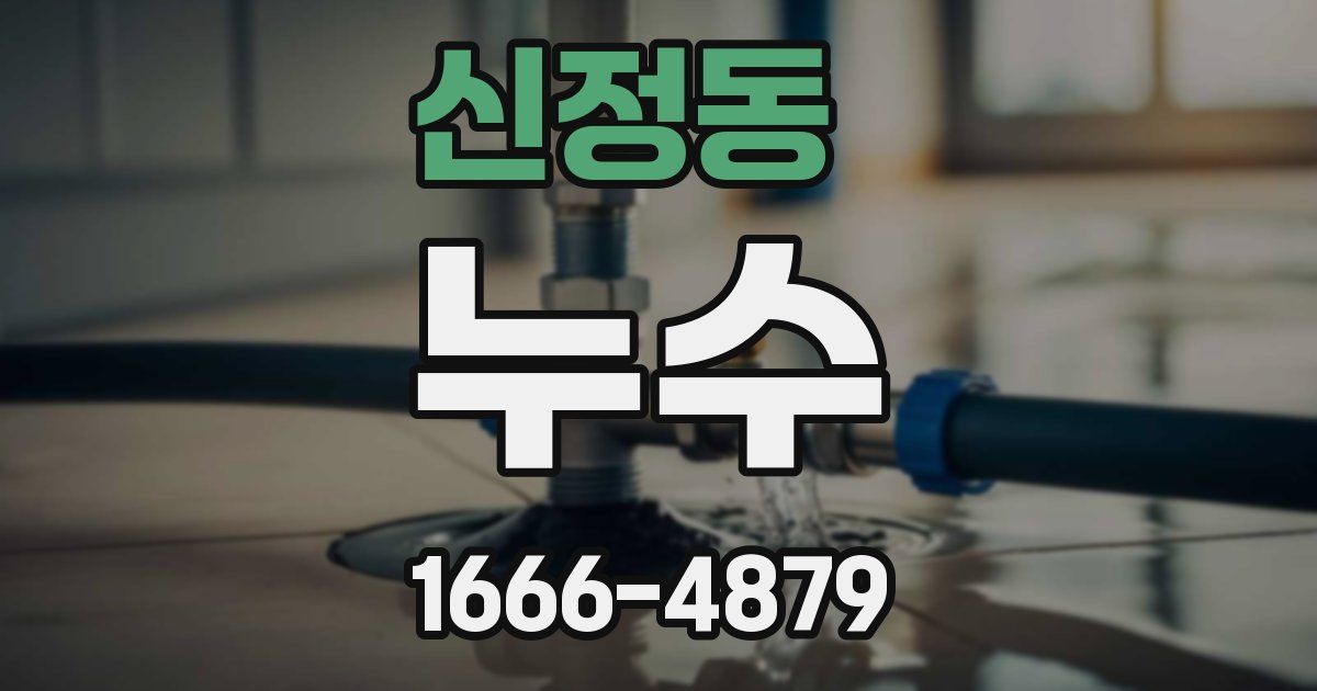 신정동 누수