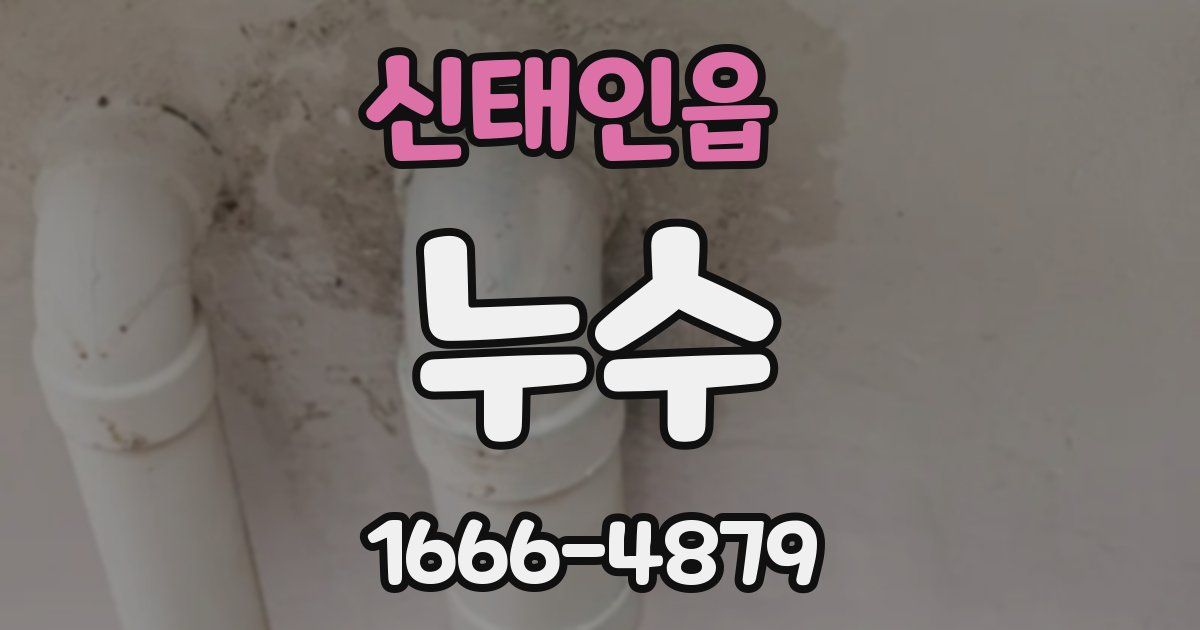 신태인읍 누수