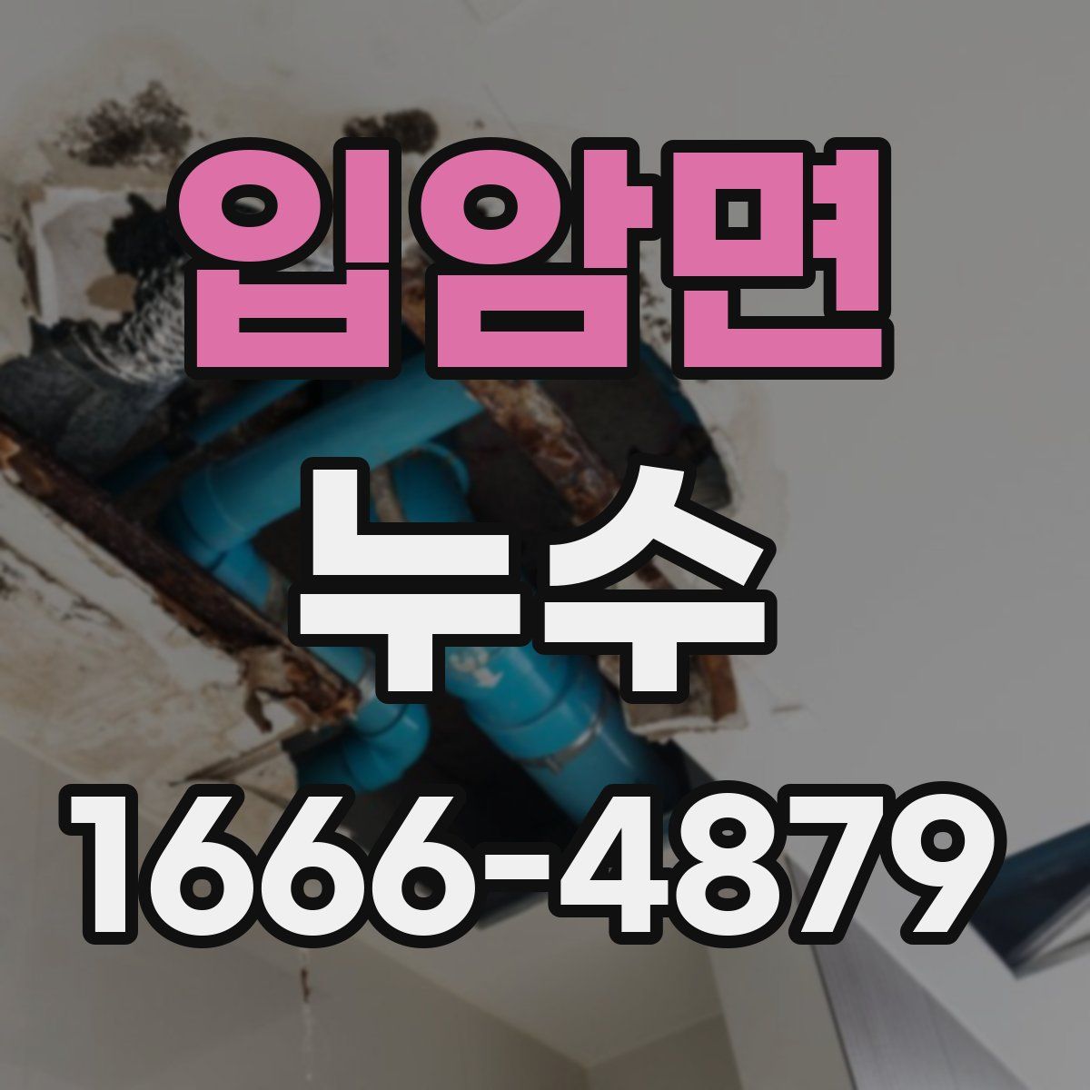 입암면 누수