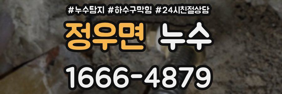 정우면 누수