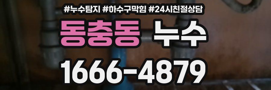 동충동 누수