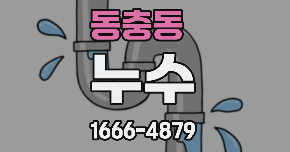 동충동 누수