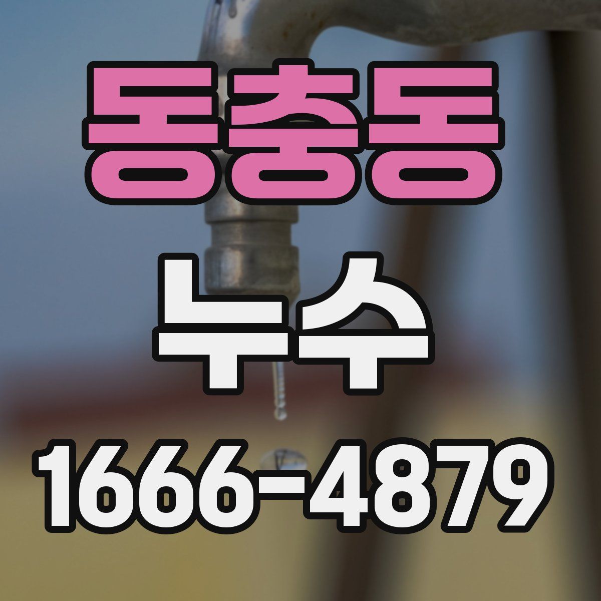 동충동 누수