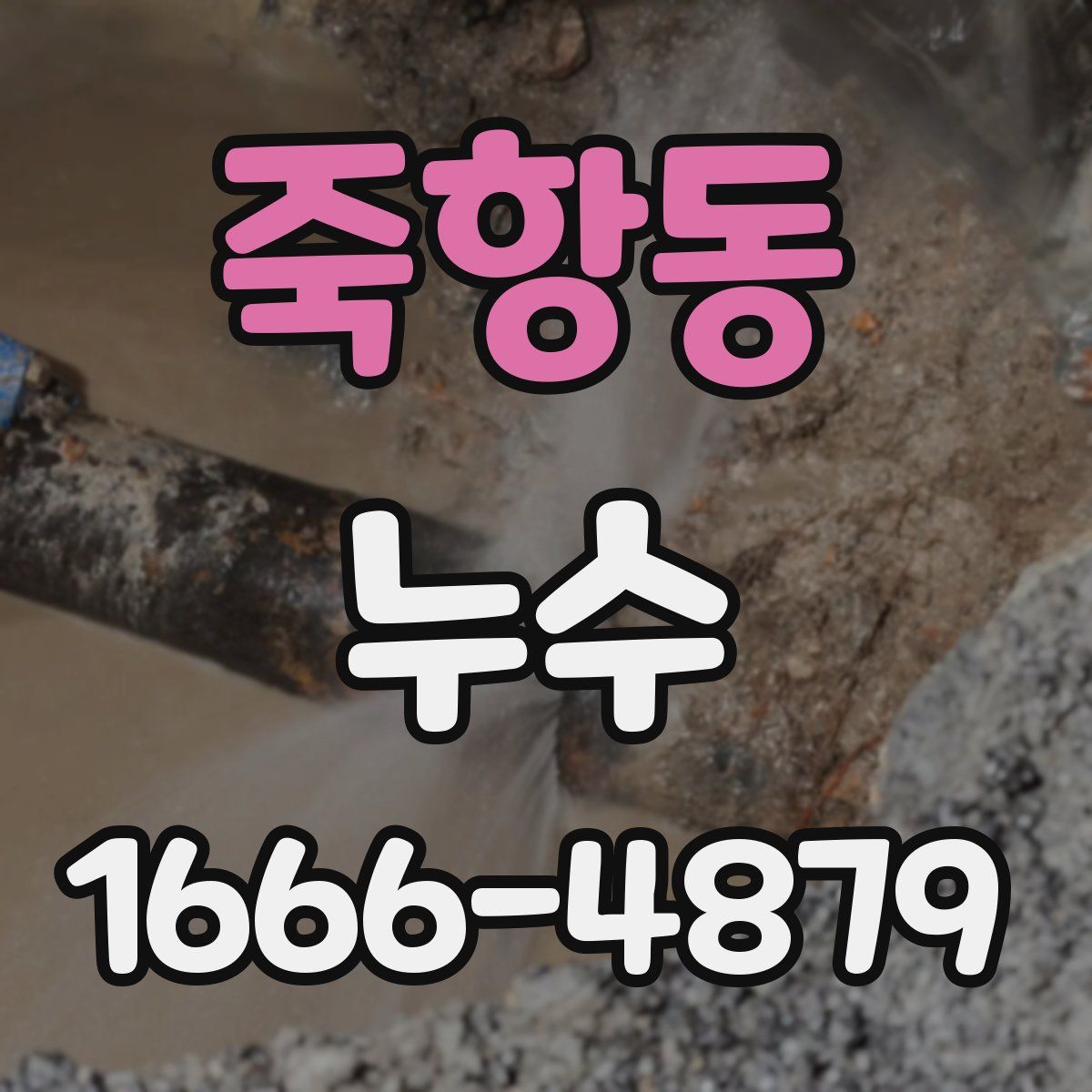 죽항동 누수