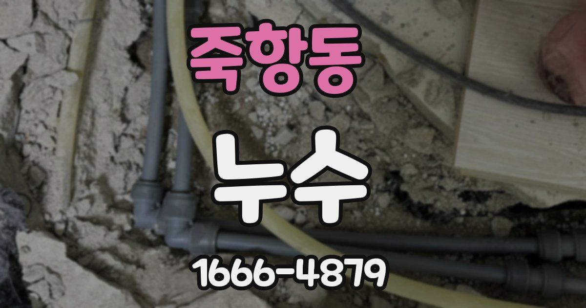 죽항동 누수