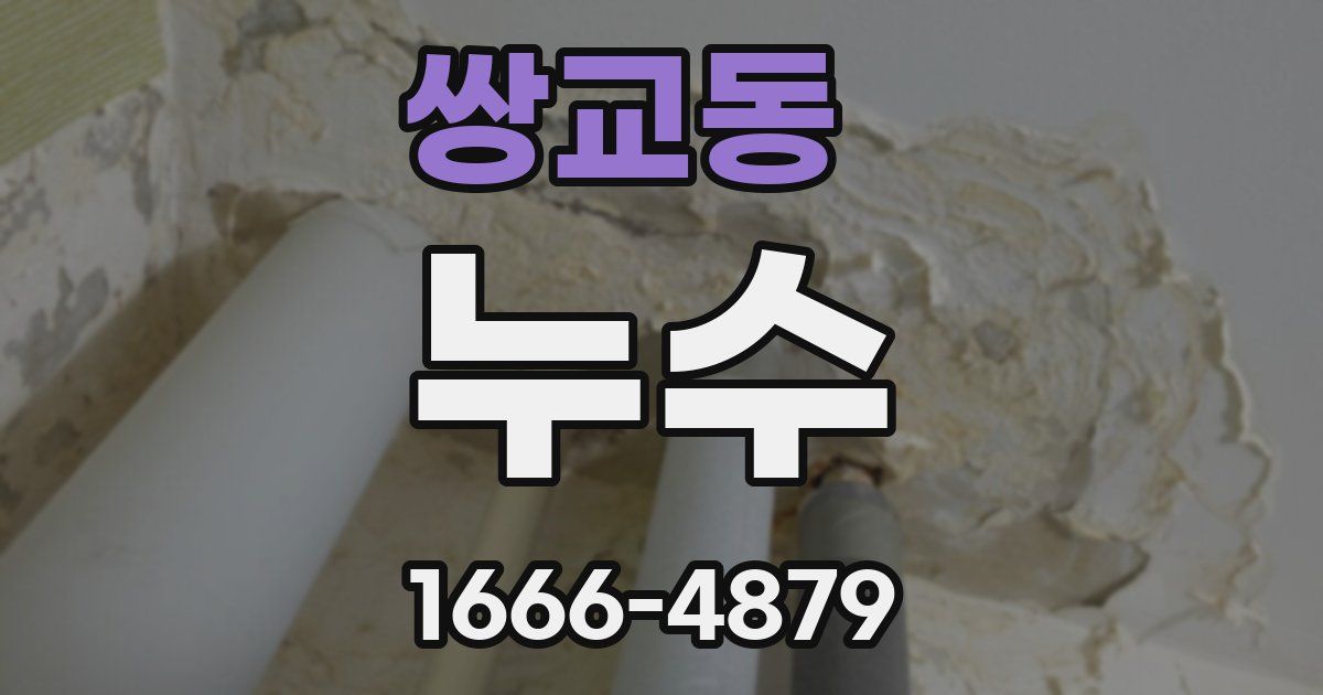 쌍교동 누수