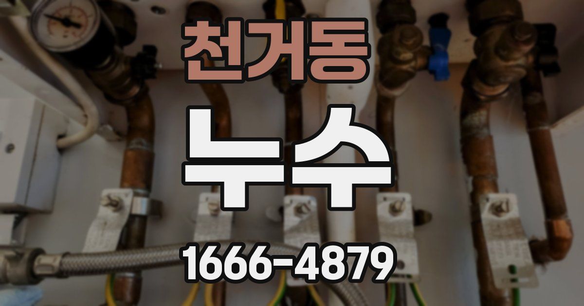 천거동 누수