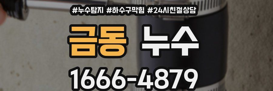 금동 누수