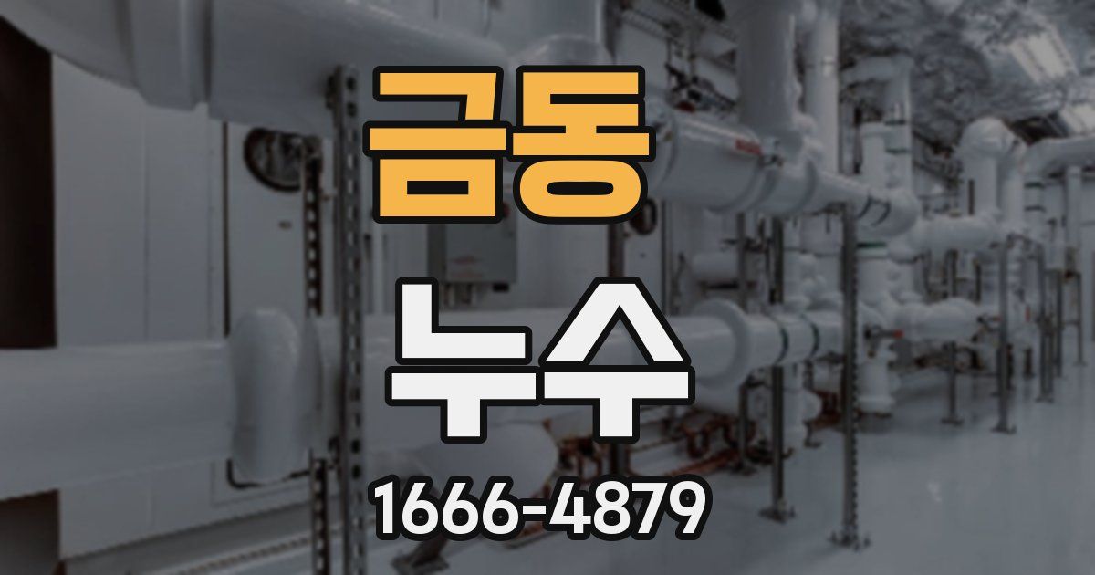 금동 누수