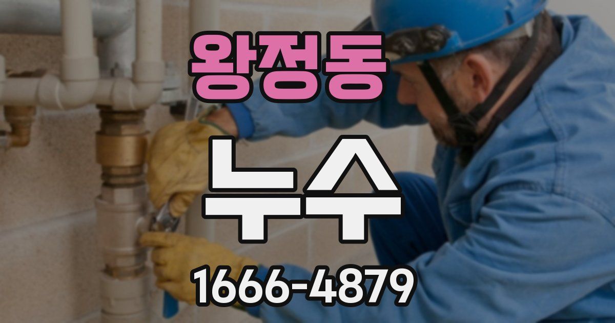 왕정동 누수
