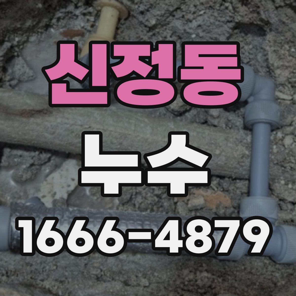 신정동 누수