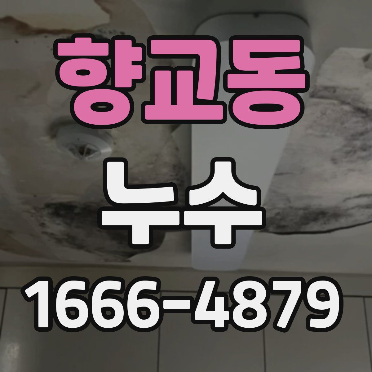 향교동 누수