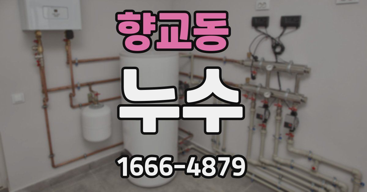 향교동 누수