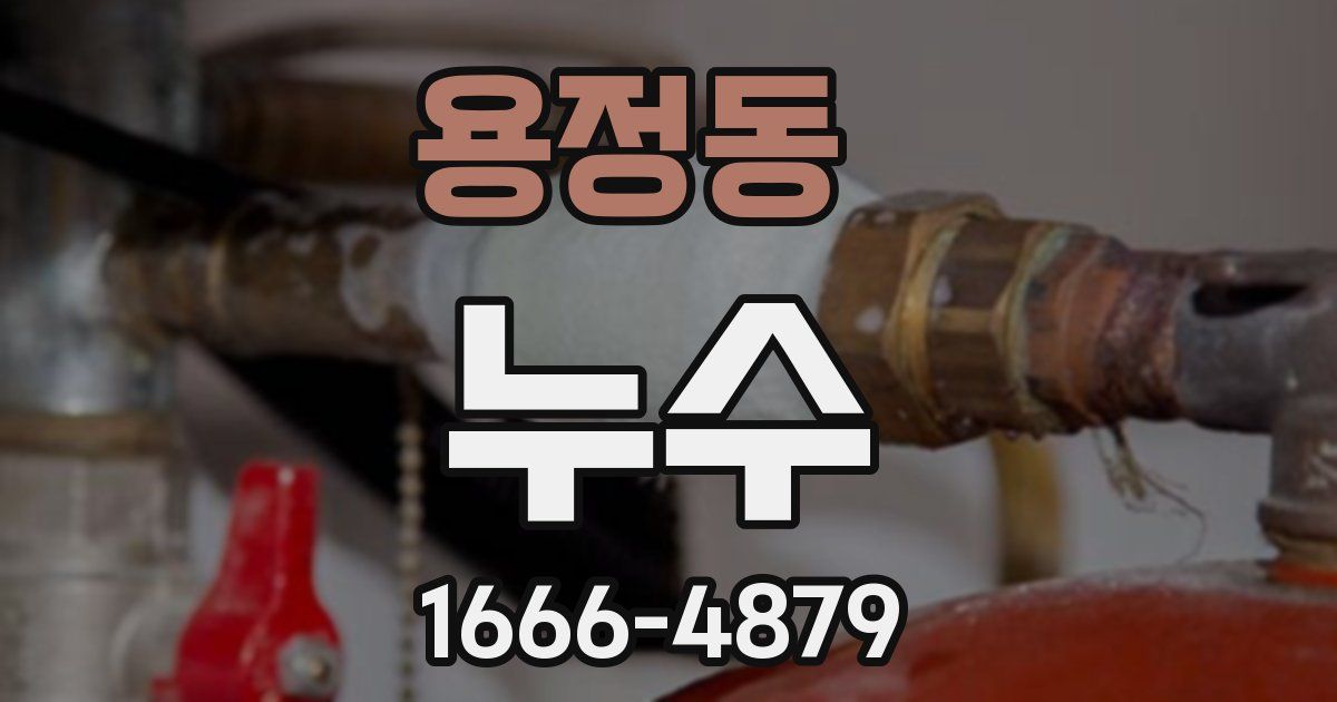 용정동 누수