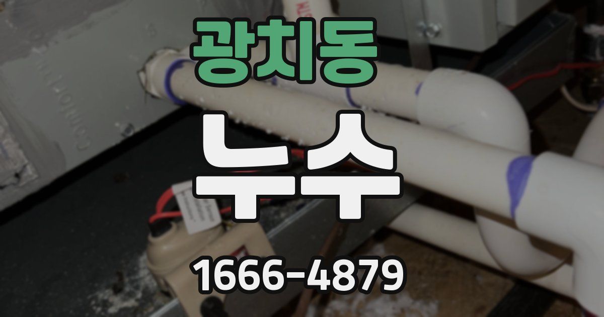 광치동 누수