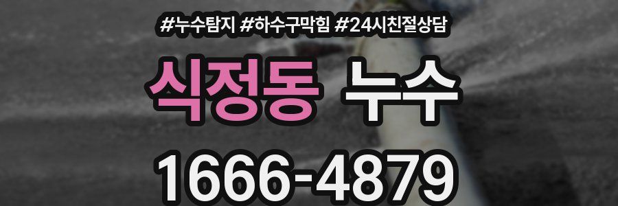식정동 누수
