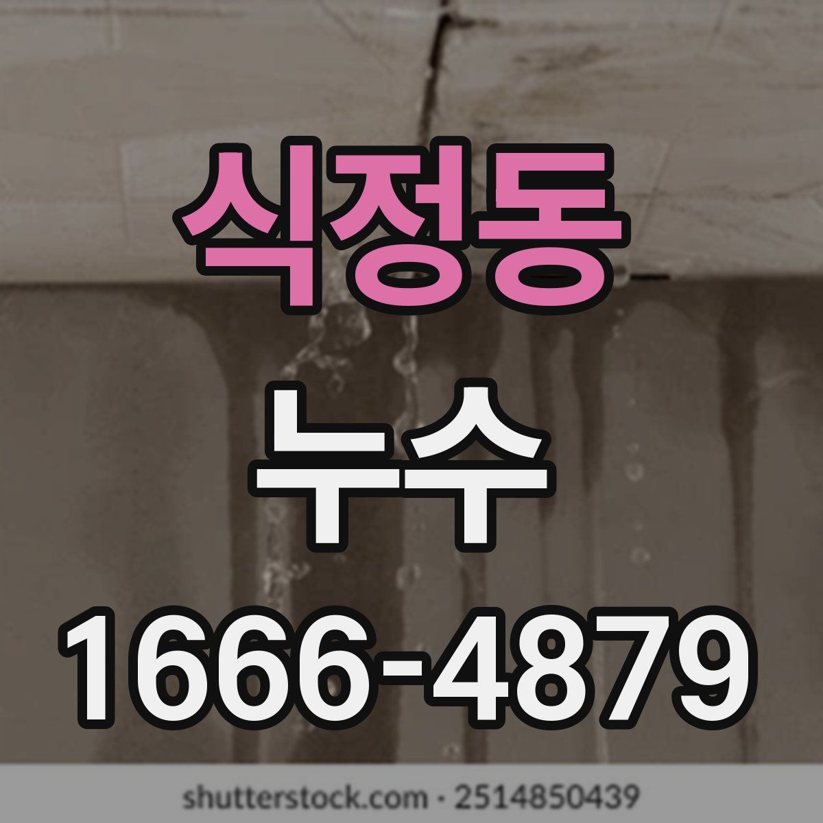 식정동 누수