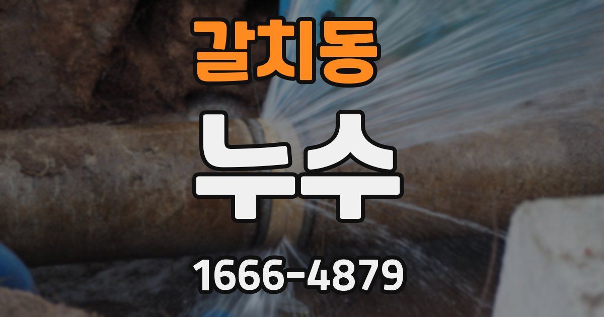 갈치동 누수