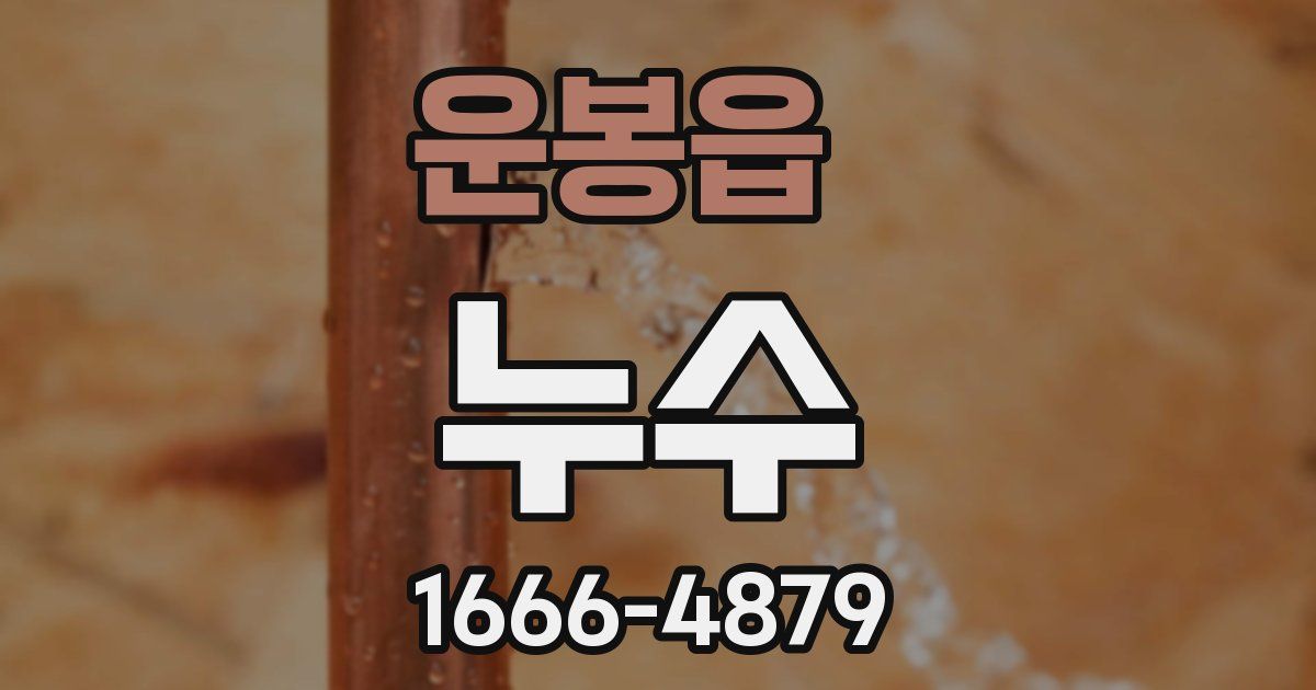운봉읍 누수