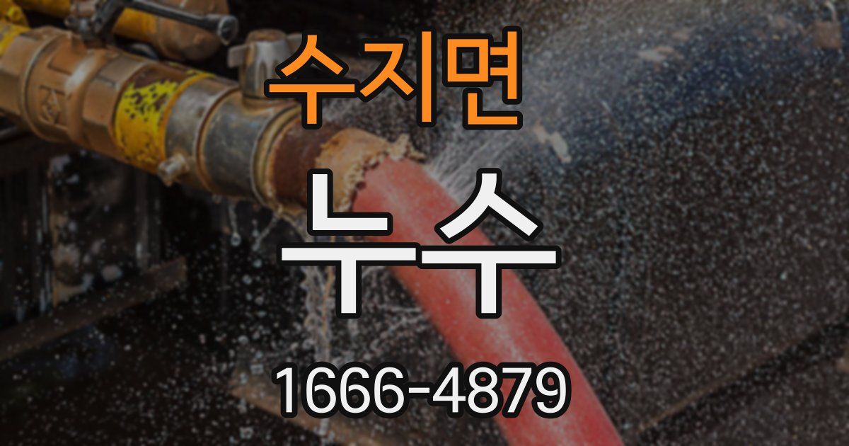 수지면 누수
