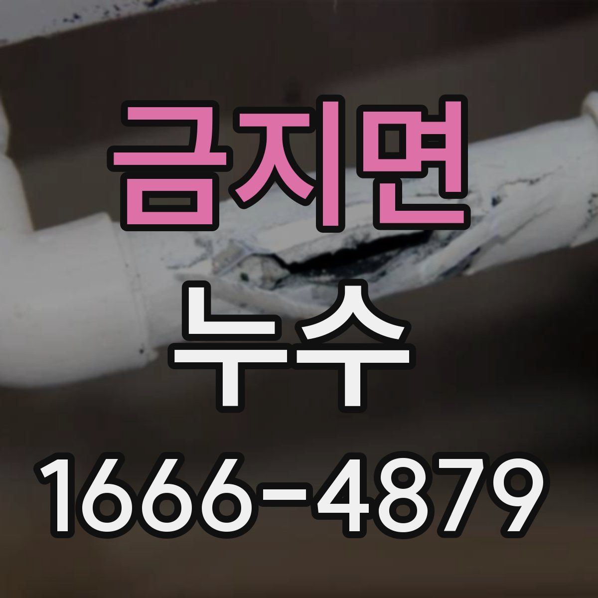 금지면 누수