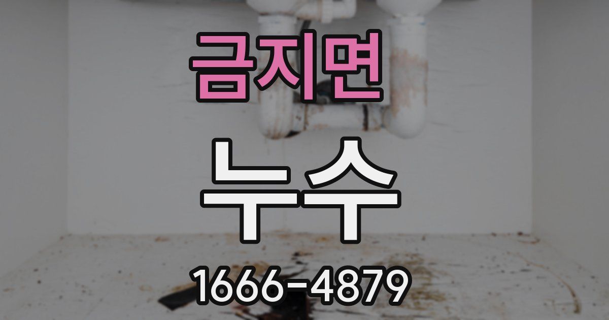 금지면 누수