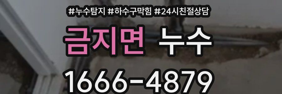 금지면 누수