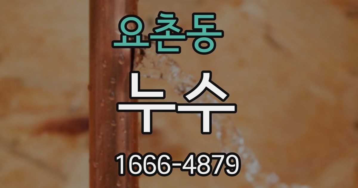 요촌동 누수