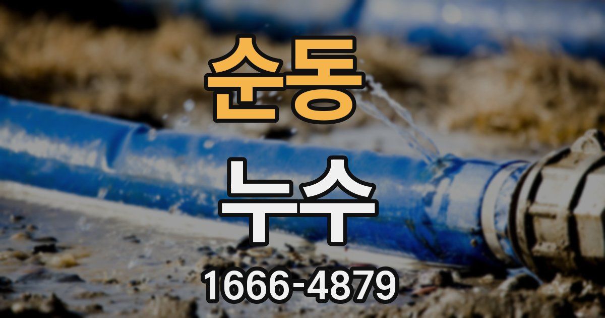 순동 누수