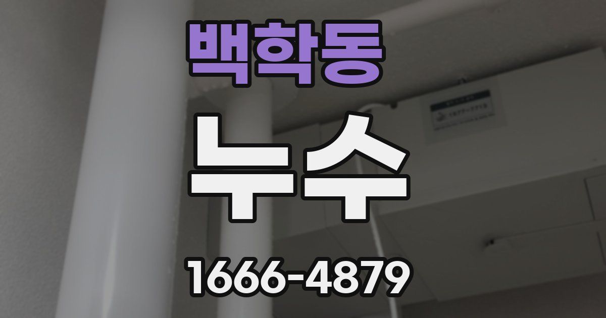 백학동 누수