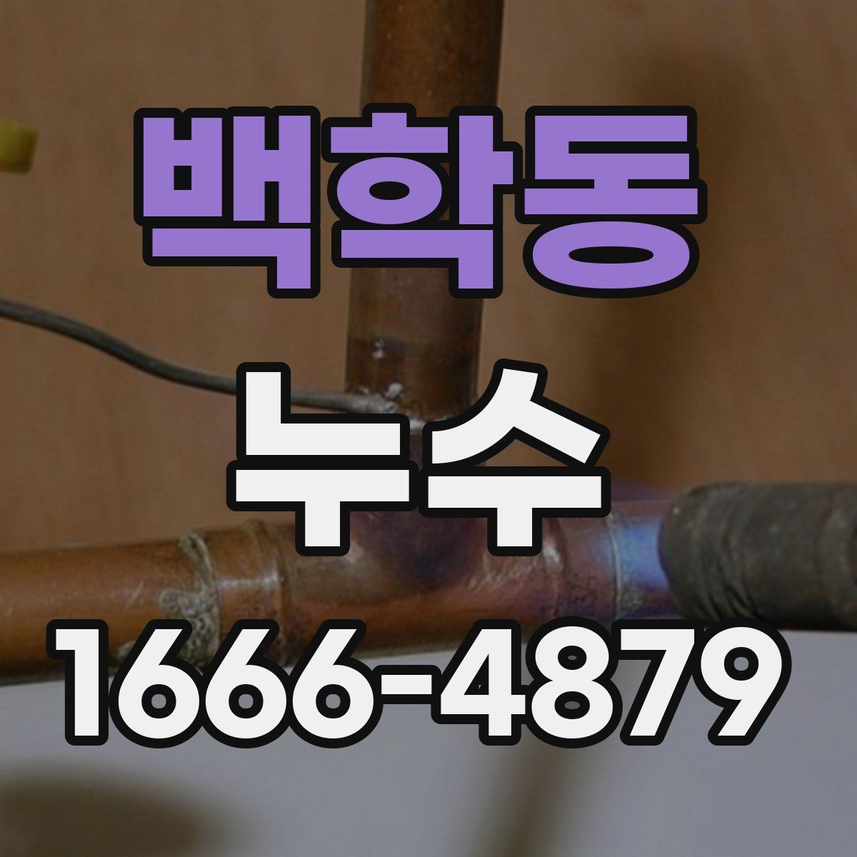 백학동 누수